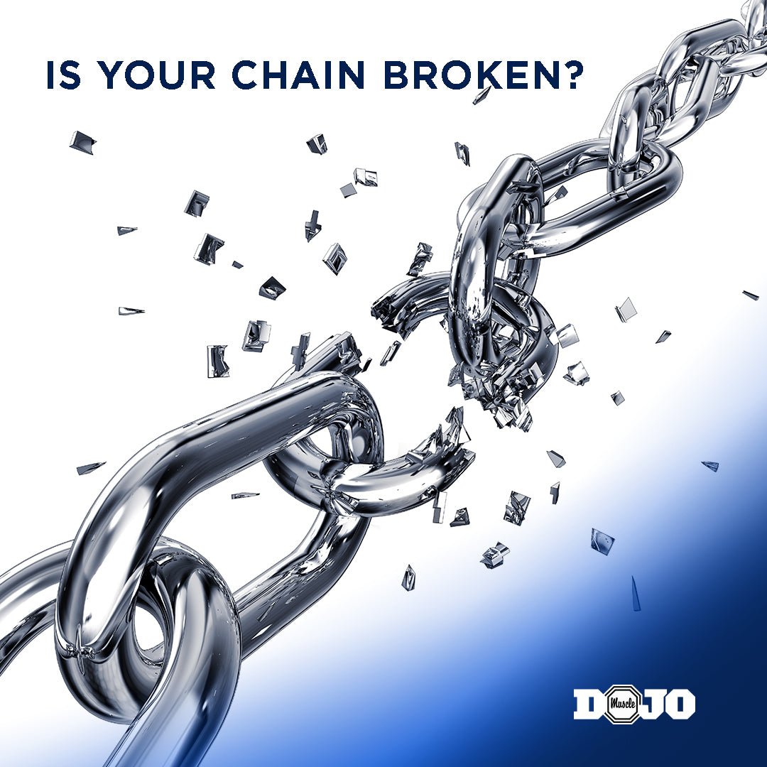 Do you know if your marketing chain is broken? - Dojo Muscle