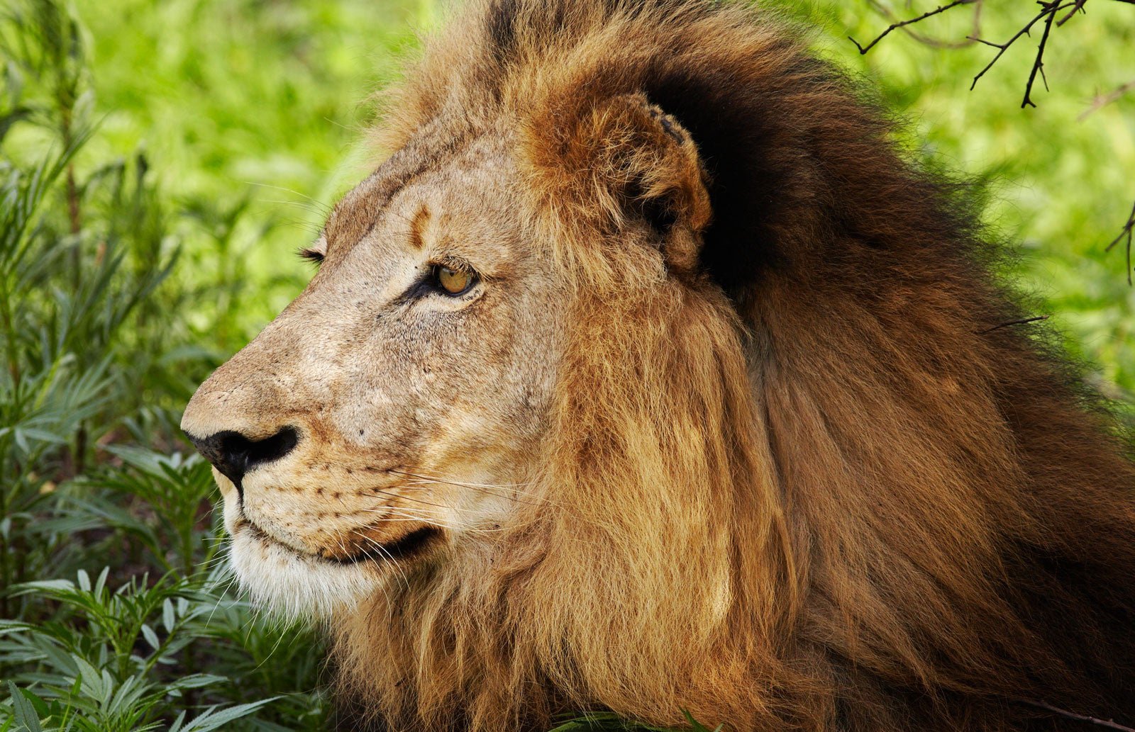 Take Back Your Marketing. Take Back Your Values. - Dojo Muscle