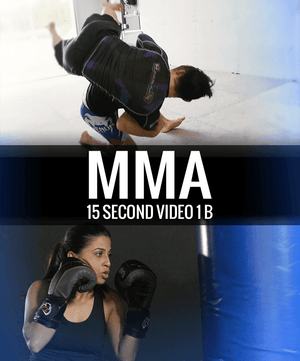 Mixed Martial Arts Video 15 Second 1 b - Dojo Muscle