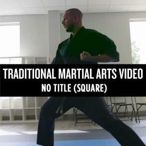 Traditional Martial Arts Male Video Long (Square) - No Title - Dojo Muscle